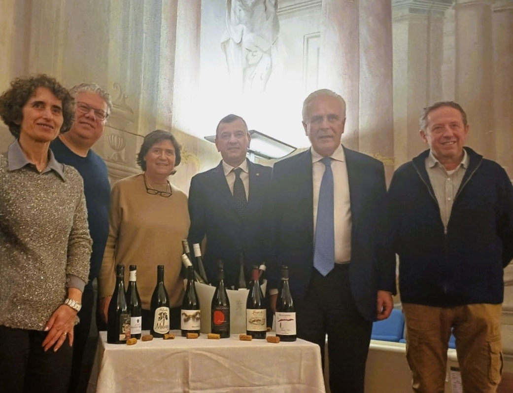 Mugello, vocazione vino: nasce l’associazione ProViMu